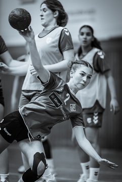 Bild 198 - wBJ TSV Ellerau - HSG Stoertal Hummeln : Ergebnis: 26:19